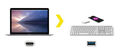 Kanex USB-C į USB adapteris 21 cm (baltas)