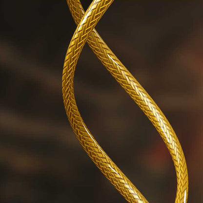 WEKOME YC05 Sakin serija - 3,5 mm lizdo laidinės ausinės (aukso spalvos)