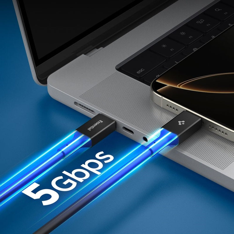 Spigen EB10020CC Essential - USB-C į USB-C PD kabelis 100W 2m (juodas)