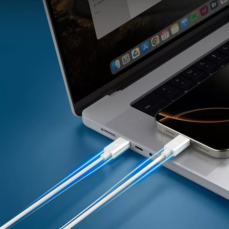 Spigen EB6020CC Essential - USB-C į USB-C laidas, PD 60W, 2m (Baltas)